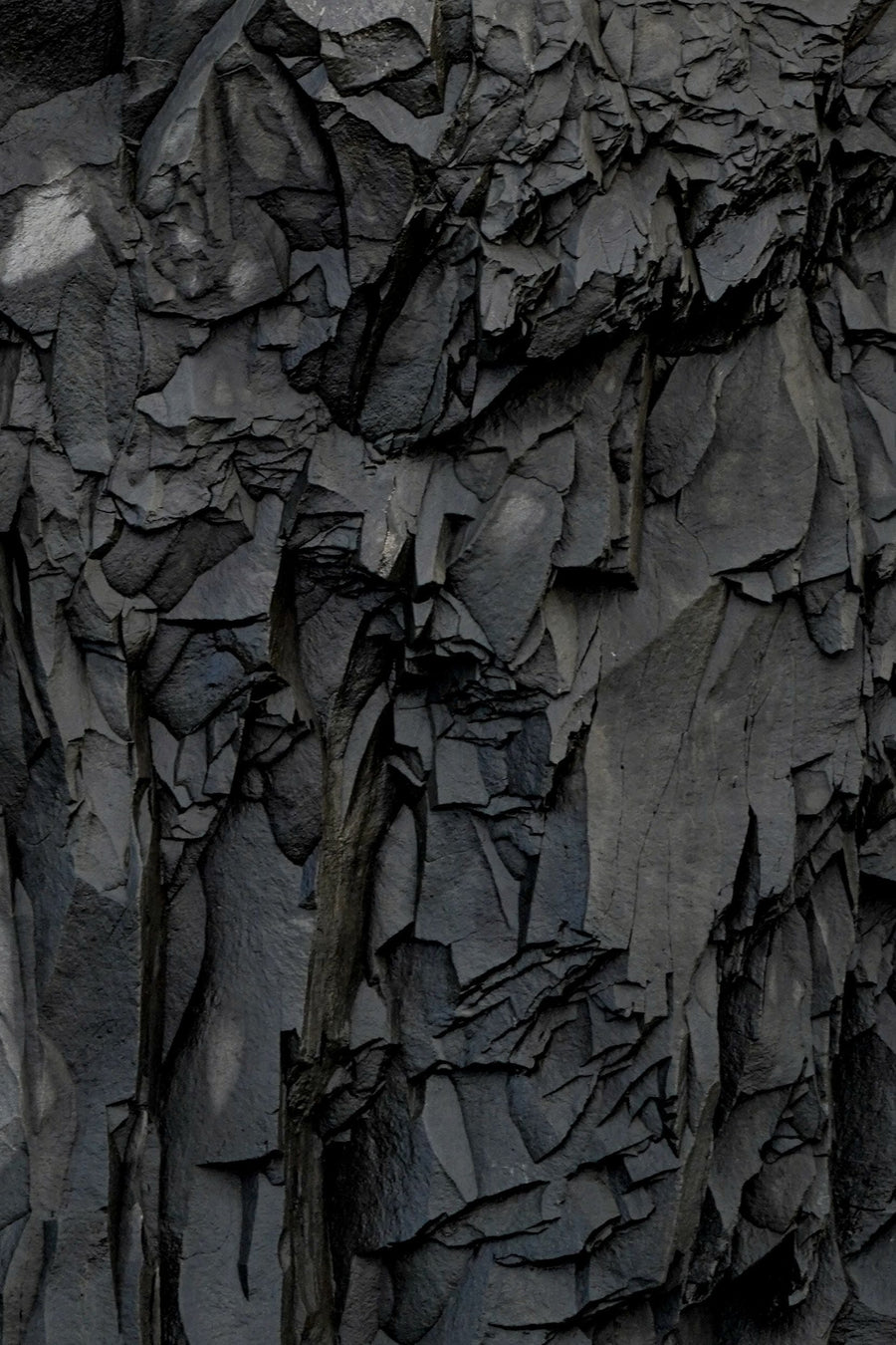 Activated Charcoal in Deodorant: What It Actually Does