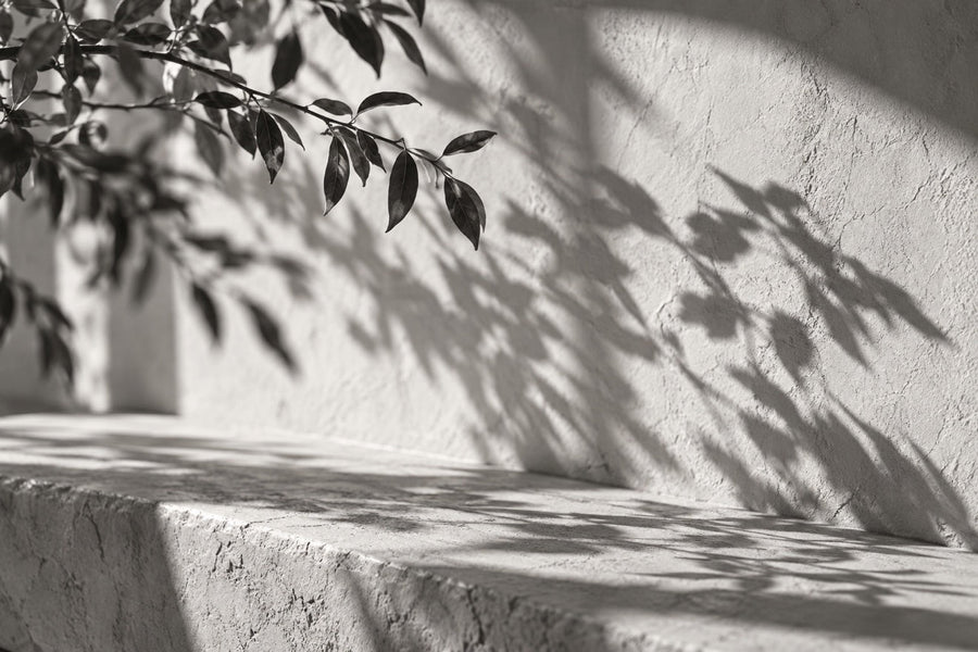 Is Tallow Good for Your Skin? The Honest Answer